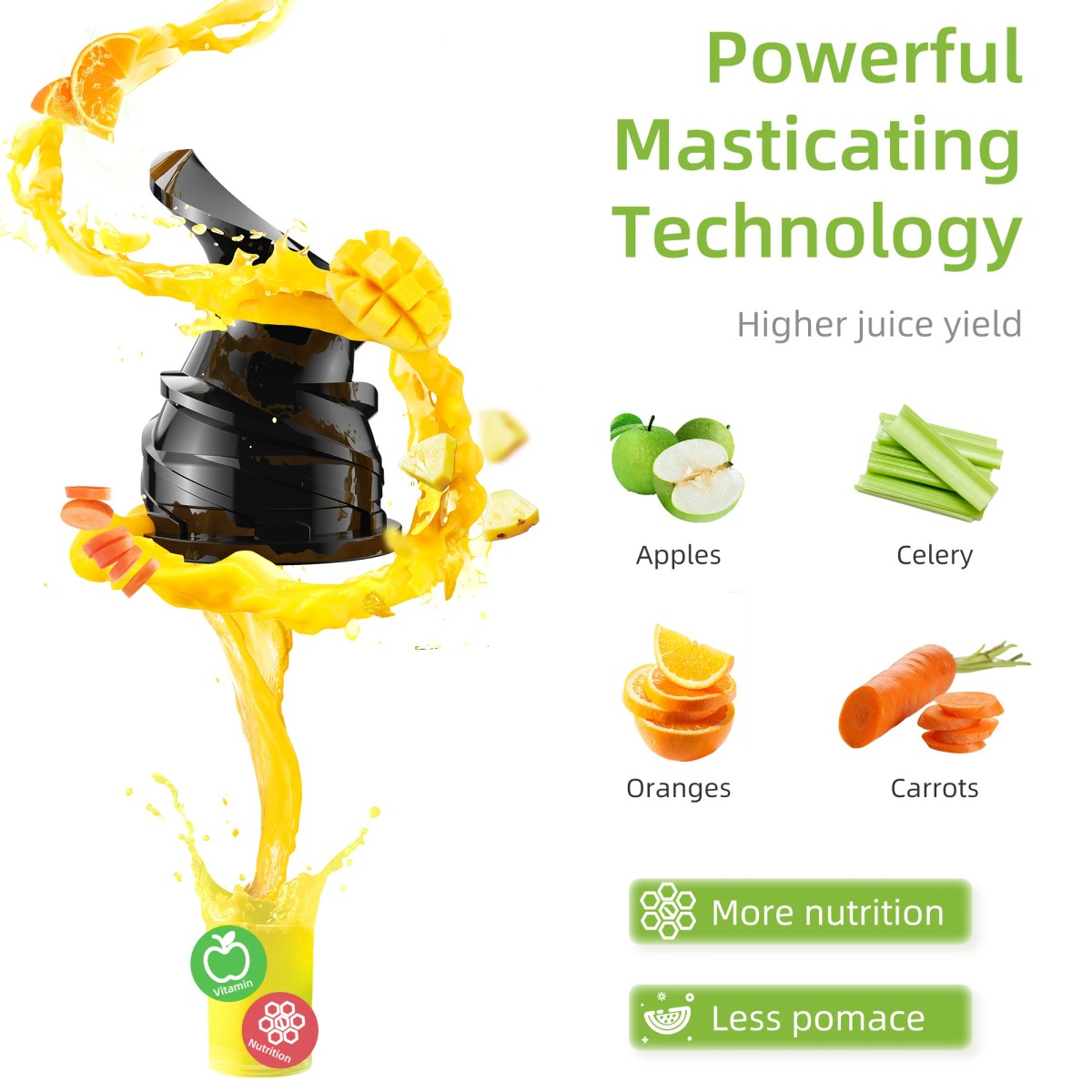 Koude Pers Juicer 200W voor Fruit en Groenten 4